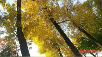 Изрображение 'КАКАЯ ТЕМПЕРАТУРА ВОЗДУХА ОЖИДАЕТСЯ 13 СЕНТЯБРЯ?'