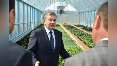 Изрображение 'ПРЕЗИДЕНТ ОЗНАКОМИЛСЯ С ПРОЕКТОМ ГИДРОПОНИКИ В ЧУСТЕ'