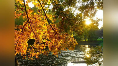 Изрображение 'УЗБЕКИСТАНЦЕВ ЖДЕТ ЕЩЕ ОДИН ПОГОЖИЙ ДЕНЬ ПЕРЕД ПЕРЕМЕНОЙ В ПОГОДЕ'