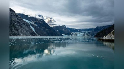 Изрображение 'НА АЛЯСКЕ ОБНАРУЖЕНЫ ОСТАНКИ НЕИЗВЕСТНОГО МОРСКОГО СУЩЕСТВА (ФОТО)'