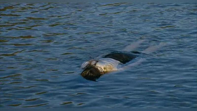 Изрображение 'КРИМИНАЛЬНАЯ ИСТОРИЯ: КАК ОТЧАЯНИЕ ТОЛКНУЛО НА СТРАШНОЕ ПРЕСТУПЛЕНИЕ'
