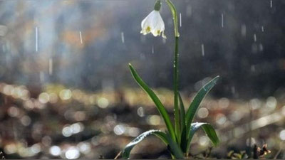 Изрображение 'Какая погода ожидается на 19 марта в Узбекистане?'