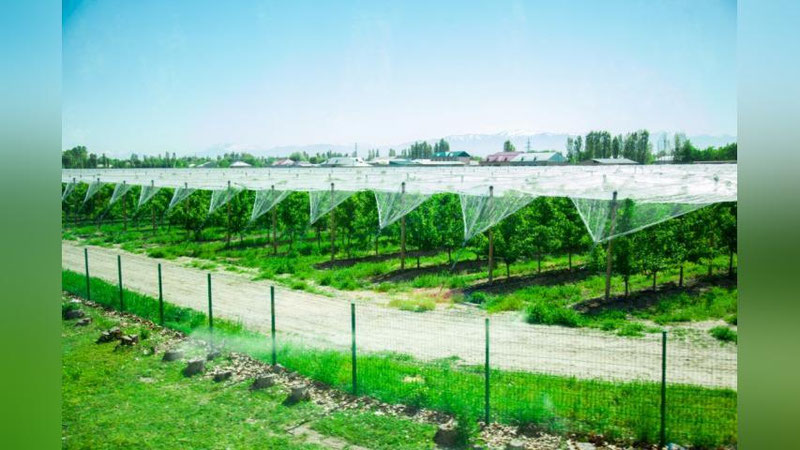 Изрображение 'ОБМЕННЫЙ ТУР ПРОШЕЛ В ТАШКЕНТСКОМ ИНСТИТУТЕ ИРРИГАЦИИ И МЕЛИОРАЦИИ'