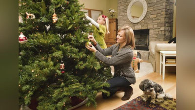 Изрображение 'КАКУЮ ЕЛЬ ВЫБРАТЬ: ИСКУССТВЕННУЮ ИЛИ НАТУРАЛЬНУЮ?'