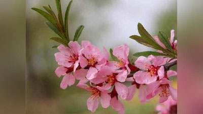 Изрображение 'ПОГОДА НА 22 ФЕВРАЛЯ: НА ЮГЕ - ПОЧТИ ВЕСНА'