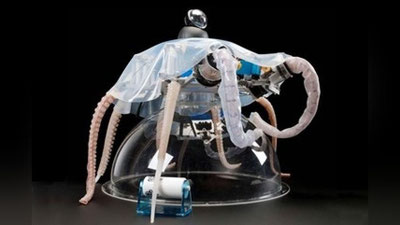 Изрображение 'В ИТАЛИИ РАЗРАБОТАН РОБОТ-ОСЬМИНОГ (ВИДЕО)'