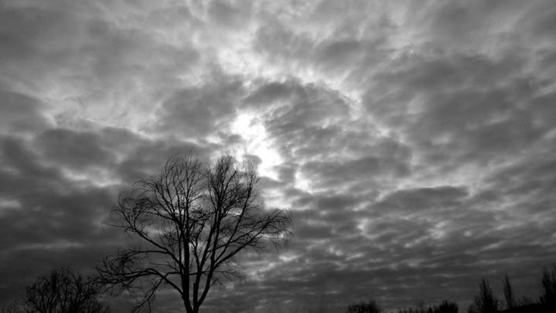 Изрображение 'ПОГОДА НА 3 ДЕКАБРЯ: БУДЕТ ПАСМУРНО'