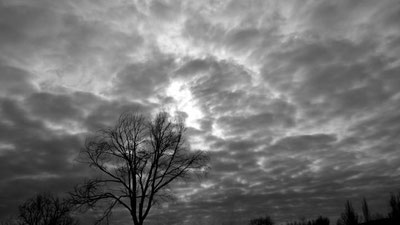 Изрображение 'ПОГОДА НА 3 ДЕКАБРЯ: БУДЕТ ПАСМУРНО'