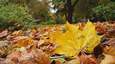 Изрображение 'УЗБЕКИСТАНЦЕВ НА НЕДЕЛЕ ЖДЕТ ХОЛОДНАЯ ПОГОДА'