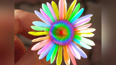 Изрображение 'ЛЕЧИТ ЛИ ЦВЕТОТЕРАПИЯ?'