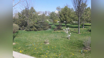 Изрображение 'МАРТ В УЗБЕКИСТАНЕ ОКАЗАЛСЯ НЕ ХОЛОДНЕЕ ОБЫЧНОГО'