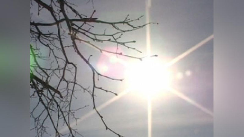 Изрображение 'Узгидромет назвал причину теплой погоды на зимний период'