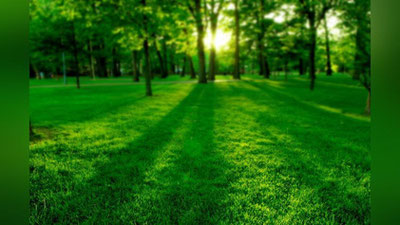 Изрображение '​В СТОЛИЦЕ БУДЕТ ПОСТРОЕН НОВЫЙ ПАРК'