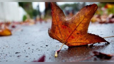 Изрображение 'ПРОГНОЗ СИНОПТИКОВ НА 25 ОКТЯБРЯ: ГДЕ ОЖИДАТЬ НОЧНЫЕ ЗАМОРОЗКИ?'