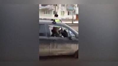 Изрображение 'ПЬЯНАЯ ЖЕНЩИНА ИЗРУБИЛА СВОЙ МАТИЗ ТОПОРОМ (ВИДЕО)'