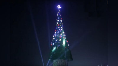 Изрображение 'НА ШРИ-ЛАНКЕ СОБРАЛИ САМУЮ ВЫСОКУЮ ЕЛЬ В МИРЕ (ВИДЕО)'