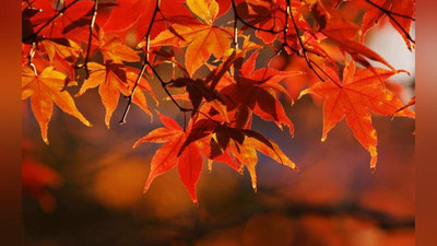 Изрображение 'НА НАСТУПИВШЕЙ НЕДЕЛЕ НАС ЖДЕТ ИЗМЕНЕНИЕ ПОГОДЫ'