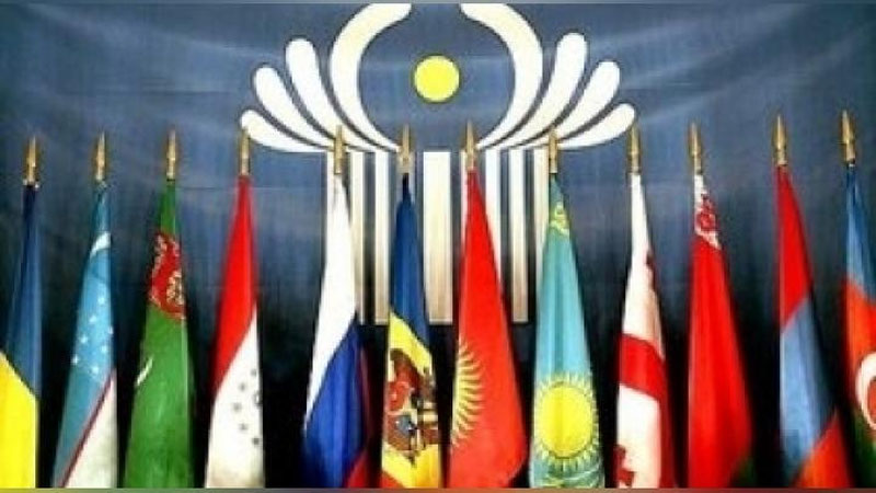 Изрображение 'НАБЛЮДАТЕЛИ ОТ СНГ ПРИСТУПАЮТ К РАБОТЕ С 17 НОЯБРЯ'