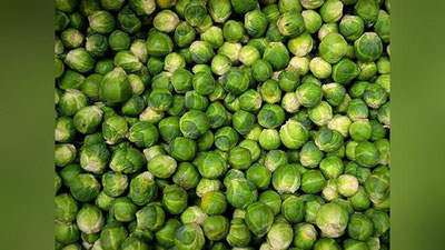 Изрображение 'ХУДЕЮЩИМ РАЗРЕШИЛИ ЕСТЬ НА НОЧЬ: СПИСОК ПРОДУКТОВ'