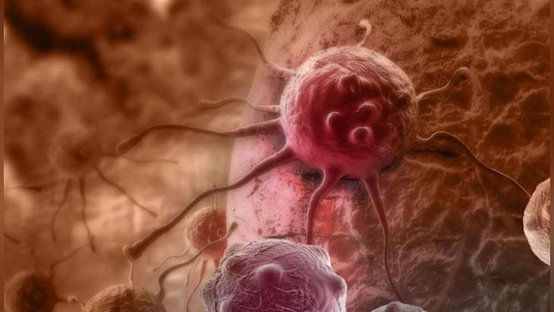 Изрображение 'УЧЕНЫЕ НАЗВАЛИ ПРОДУКТЫ, УСКОРЯЮЩИЕ РАЗВИТИЕ РАКА В 100 РАЗ'