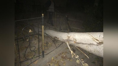 Изрображение 'ОТ ПАДЕНИЯ ВЕТКИ 17 ОКТЯБРЯ В ТАШКЕНТЕ ПОГИБЛА ЖЕНЩИНА'