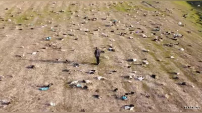 Изрображение 'В Госкомэкологии назвали причину появления "целлофановой долины" под Карши'