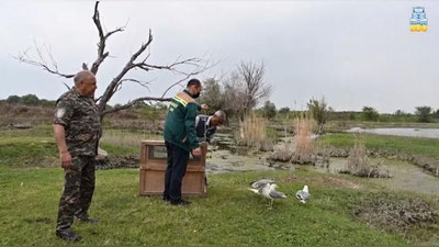 Изрображение 'Ташкентский зоопарк выпустил на волю птиц и черепах (видео)'