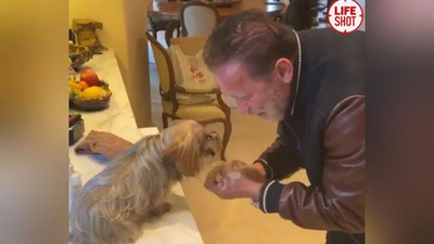 Изрображение 'В сети запустили флешмоб от мировых звезд про мытье рук (видео)'