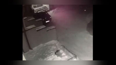 Изрображение 'В Томске 6-летняя девочка упала с 4 этажа, встала и пошла домой (видео)'