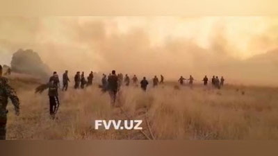 Изрображение 'МЧС удалось ликвидировать крупный пожар в лесном хозяйстве на юге страны (видео)'