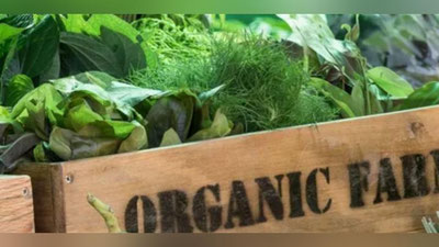 Изрображение 'В Узбекистане будут выращивать органическую сельхозпродукцию (видео)'