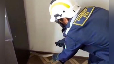 Изрображение 'Спасатели в Карши выловили змею в квартире многоэтажки (видео)'