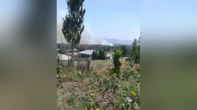 Изрображение 'В Ташкентской области горела территория лесхоза (видео)'