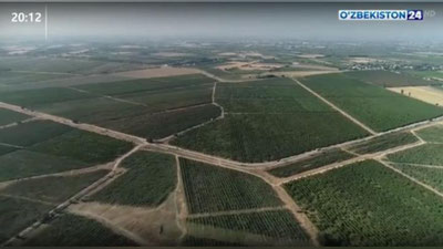 Изрображение 'Рекордную сумму потребовали у кибрайского предпринимателя за землю (видео)'