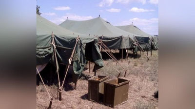 Изрображение 'В палаточном лагере в Сурхандарье временно разместили афганских беженцев'