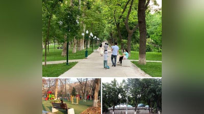 Изрображение 'Саида Мирзиёева призвала учитывать мнение жителей при изменении парковых зон'