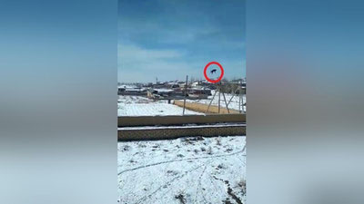 Изрображение 'Узбекских пользователей Tik-Tok возмутило видео с метанием кота с высоты'