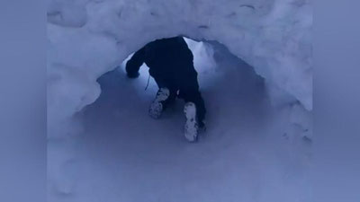 Изрображение 'В Норильске дети прорыли тоннель в сугробе, чтобы добираться до школы (видео)'