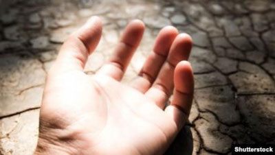 Изрображение 'В Андижанской области найдена убитой 9-летняя девочка'