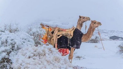 Изрображение 'В пустыне Сахара выпал снег (видео)'