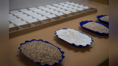 Изрображение 'Россия и ЕАЭС ввели эмбарго на экспорт чеснока, лука, муки и гречки'