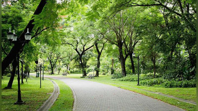 Изрображение 'Сеть "зеленых парков" появится в Узбекистане до 2024 года'