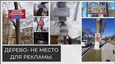 Изрображение 'Агентство по защите прав потребителей предупредило о незаконности рекламных вывесок на деревьях'