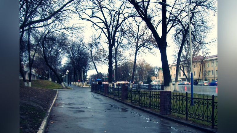 Изрображение 'В Ташкенте до +11, дождь: погода на 9 марта'