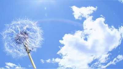 Изрображение 'Погода будет жаркой на неделе'