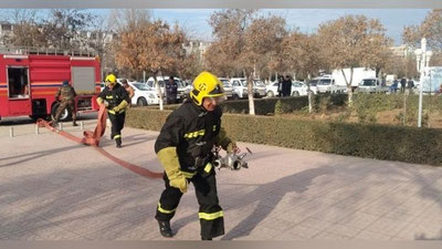 'Sirdaryodagi elektr podstansiya yonib ketdi'ning rasmi