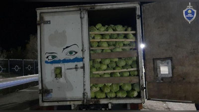 Изрображение 'Добычей дерзких грабителей на дороге в Кашкадарье стали телефон и ... 6 кочанов капусты'