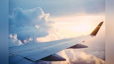 Изрображение 'Uzbekistan Airways приостановила полеты в Токио и Рим'