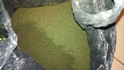 Изрображение 'В России задержали партию в 14 кг насвая из Узбекистана'