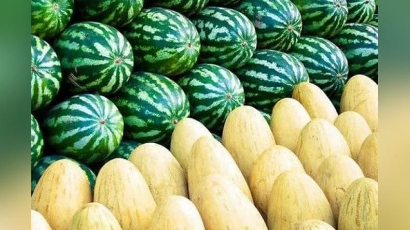 Изрображение 'Узбекистан увеличил на 71,8% экспорт арбузов и дынь'